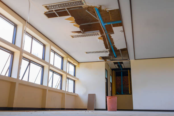Best Residential water damage restoration  in Yaeyville, NC