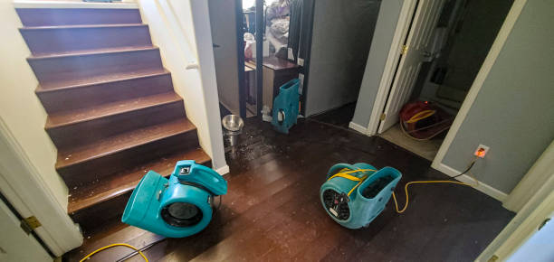 Best Carpet water damage restoration  in Yaeyville, NC