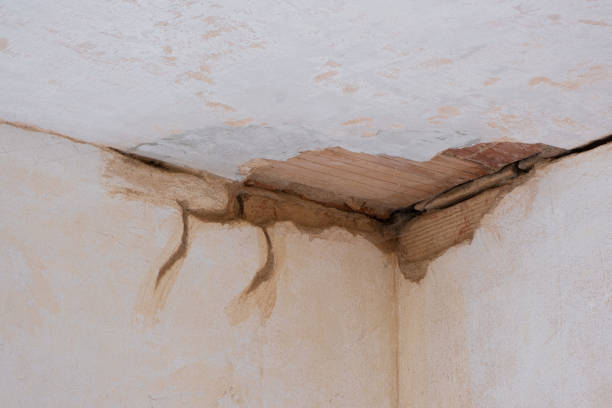 Best Commercial water damage restoration  in Yaeyville, NC