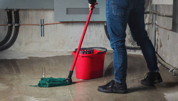 Best Flooded house restoration  in Yaeyville, NC