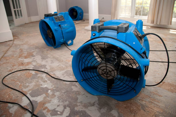 Best Water damage cleanup near me  in Yaeyville, NC